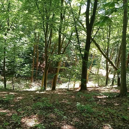 Orlowski Spokoj Gdyně