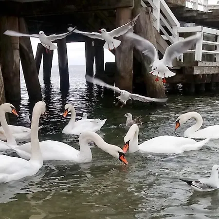 Privat bolig Orlowski Spokoj Gdynia